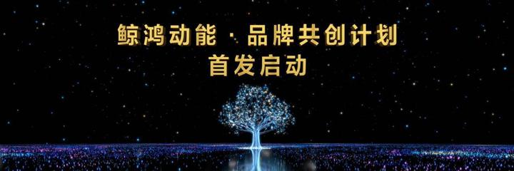 鯨鴻動(dòng)能·品牌共創(chuàng)計(jì)劃發(fā)布 多項(xiàng)權(quán)益助力品牌激發(fā)無限潛能
